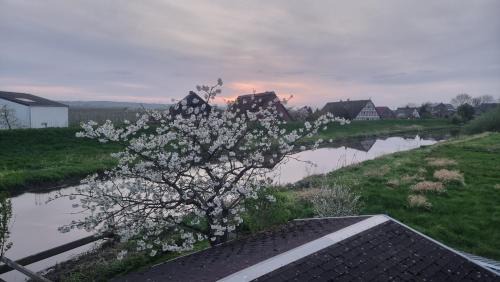 Mittelnkirchen Apartamento | Lühe Loft - direkt am Wasser im Alten Land