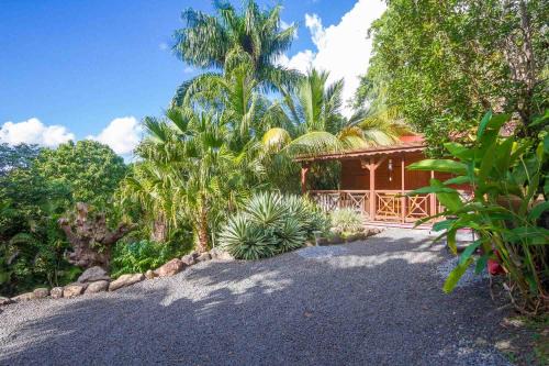 Pointe-Noire Casa | L'Îlot Palmiers