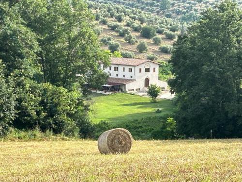 Montelibretti Cama Y Desayuno | L’Antica Tenuta