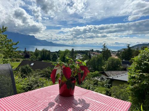 Saint-Legier-La Chiesaz Apartamento | L'Appart Riviera vue panoramique