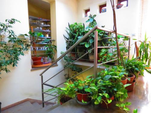 Enna Casa | L'Arca di Noè