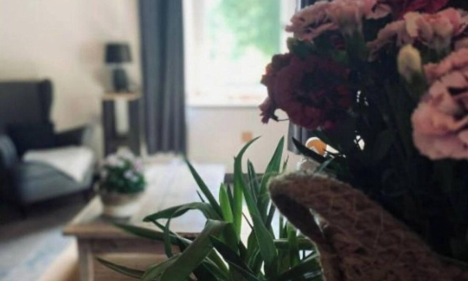 Echallon Apartamento | L'instant Présent