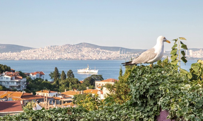 Adalar Casa | L'isola Guesthouse - Adults Only