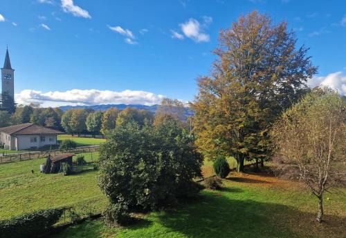 Ameno Casa | L'Oasi Amena - Camera Pesca