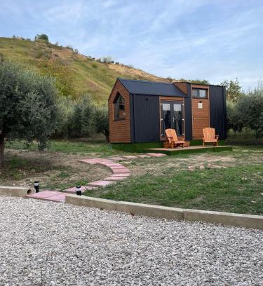 Castilenti Casa | L'Uliveto X by Tiny Away