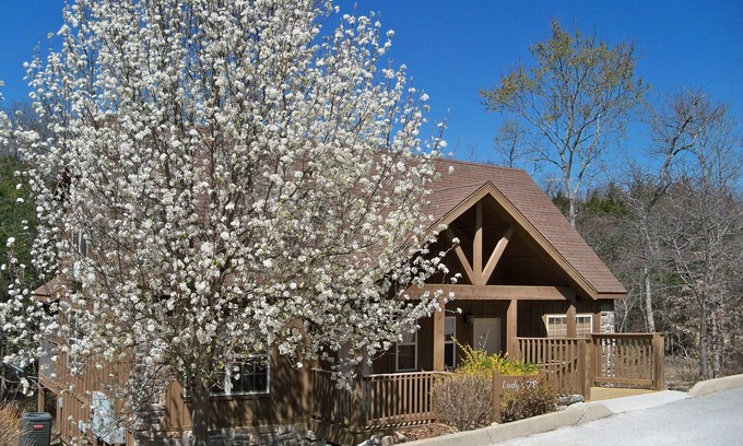 Reeds Spring Cabina | "Woodland Romance" 1Br Cabina, mascotas, pesca, golf, piscina cubierta, área de juegos para niños, ¡DIVERSIÓN!