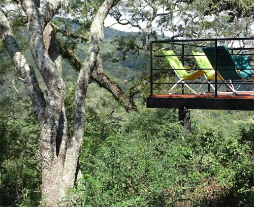 Racó Casa | LA AGÜITA PERDIDA
