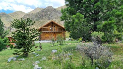 Cuyo Cabina | La Araucaria