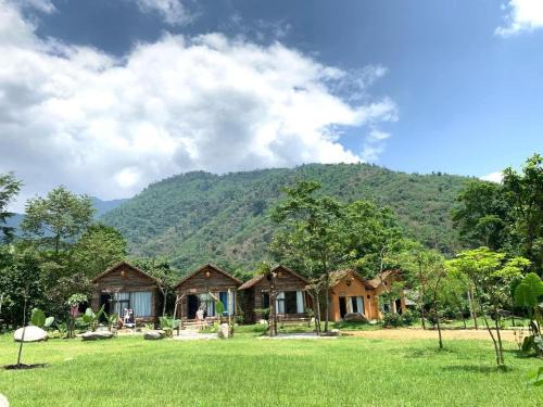 Dai Tu Casa | La Bằng - ẩm thực cá tầm