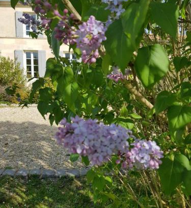 Soussans Casa | La bastide de Margaux