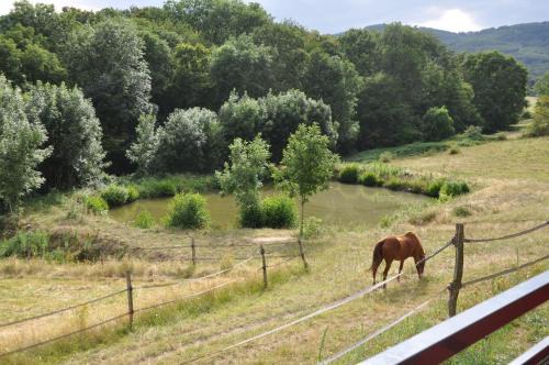 Pollionnay Cama Y Desayuno | La Bergerie