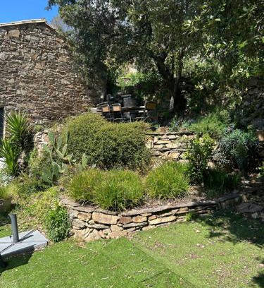 Saint-Vincent-d'Olargues Casa | La Bergerie
