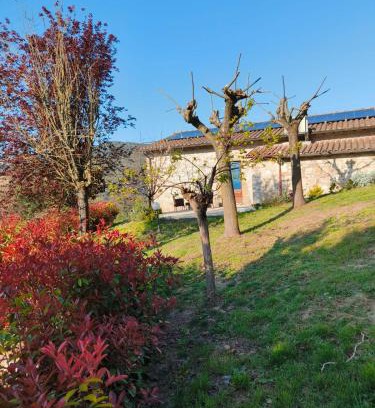 Acqua Loreto Casa | La Bottega di Torreluca