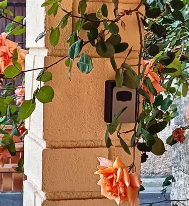 Alignan-du-Vent Apartamento | La Brocante