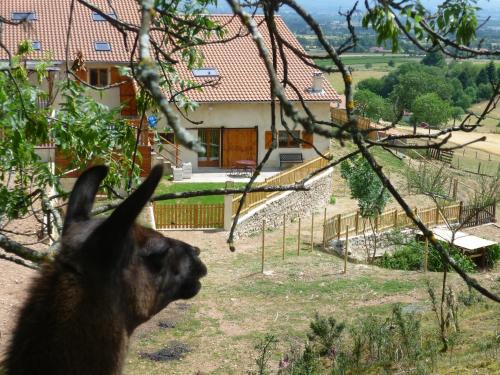 Saint-Andre-dʼApchon Casa | La Bruyère aux Lamas