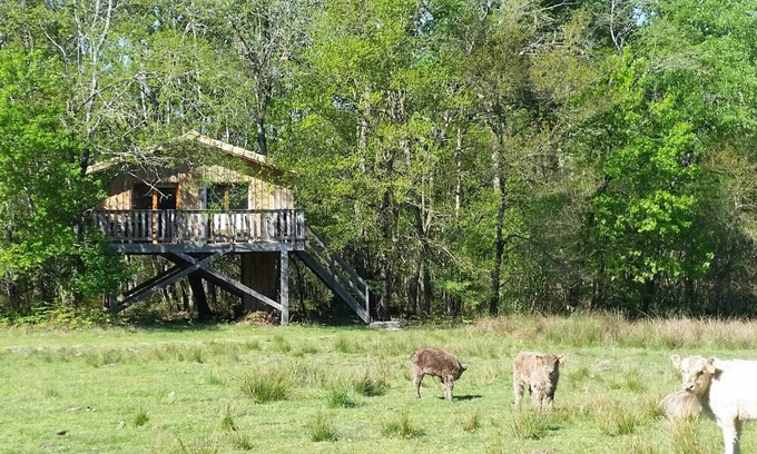 Cabanac-Et-Villagrains Otro | La Cabane Pastorale - Cabanac ET Villagrains
