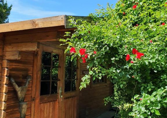 Caumont-sur-Durance Casa | La Cabane du Pesquier en Provence