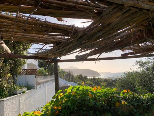 Procida Apartamento | La caccetta
