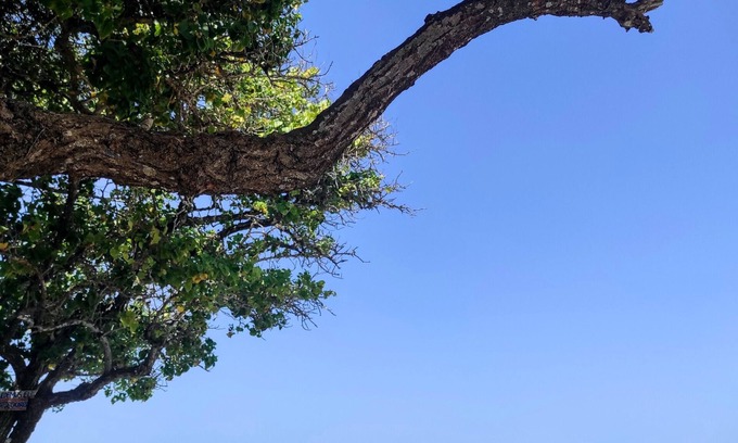 Tierra Bomba Island Cama Y Desayuno | La Caracola Cartagena