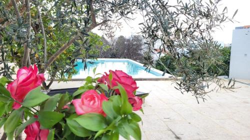 Olhao Villa | La Casa d'Olhão