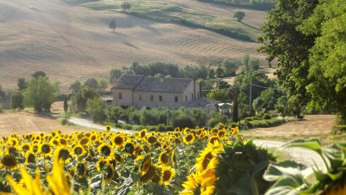 Trecastelli Cama Y Desayuno | "La Casa degli ulivi Art B&B"