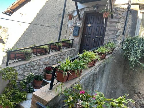 Tolfa Apartamento | La Casa Dei Fiori