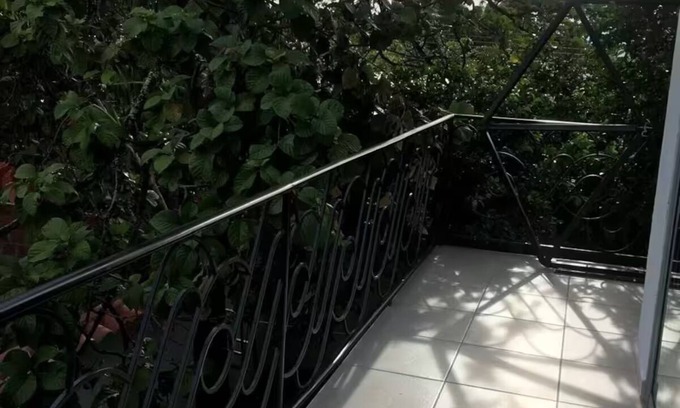 Armero Apartamento | La casa del árbol