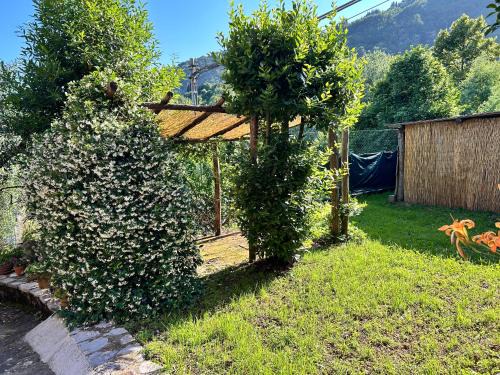 Borgo a Mozzano Casa | La Casa del Borgo