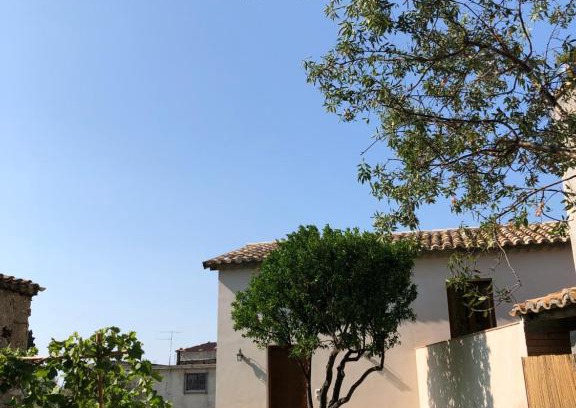 Locri Casa | La Casa del mandarino di Borgo Carbone