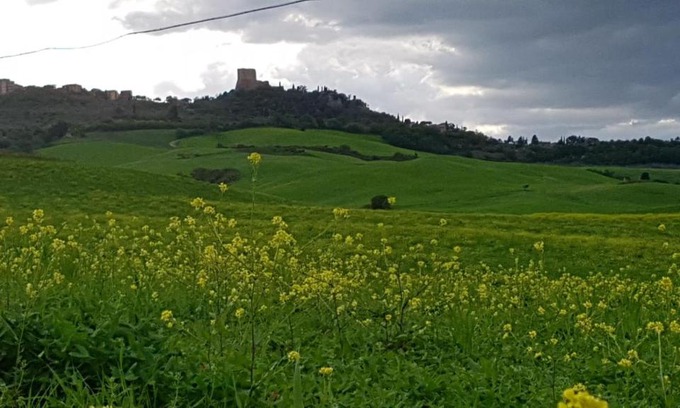 Castiglione d'Orcia Casa | La Casa del susino