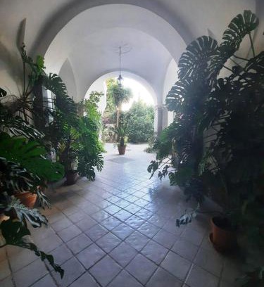 Meta Casa | La casa delle Camelie