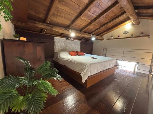 Ariccia Casa | La casa di Gina