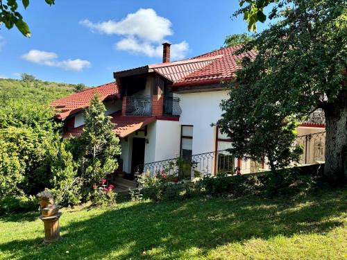 Ghioroc Casa | La casa di Oliver