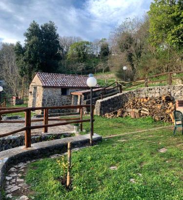 Mattinata Casa | La casa nel bosco