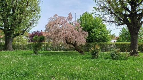 Moncalieri Apartamento | La Casa nel Parco