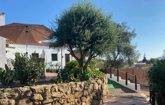 Cártama Apartamento | La Casa Palmera - Caminito Del Rey
