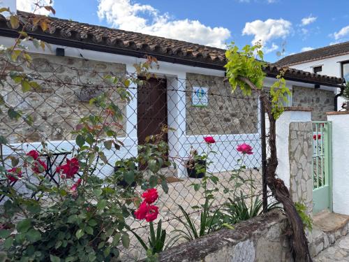 Jimena de la Frontera Casa | La casa vieja de Marchenilla