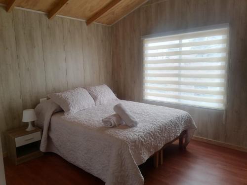 Vina del Mar Casa | La casa y el árbol
