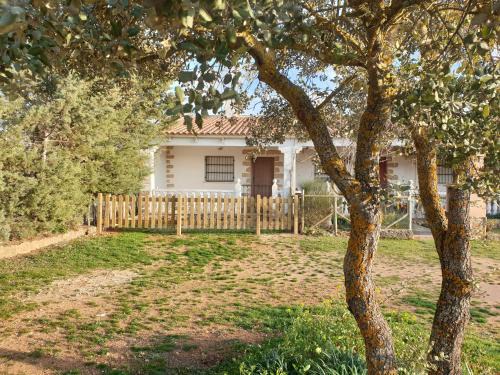 Ossa de Montiel Casa | La Caseja Rural