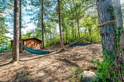 Assisi Apartamento | La casetta nel bosco