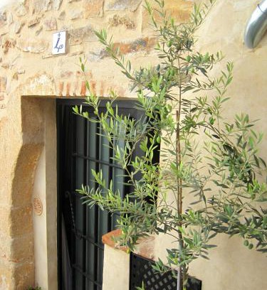 Centro histórico de Cáceres Casa | La Casina de Piedra ENCANTO - Parte Antigua de Cáceres