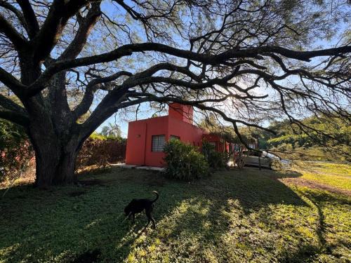 Villa Allende Casa | La casita anaranjá