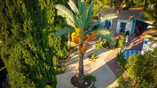 Los Baños de Fortuna Casa | la casita de invitados