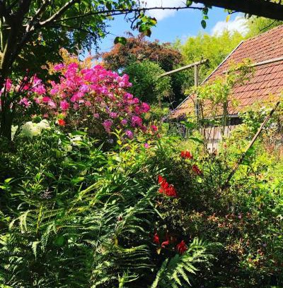 Sartilly-Baie-Bocage Casa | La chartrie