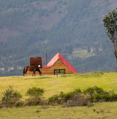 Tibasosa Casa | la cima de los frailejones