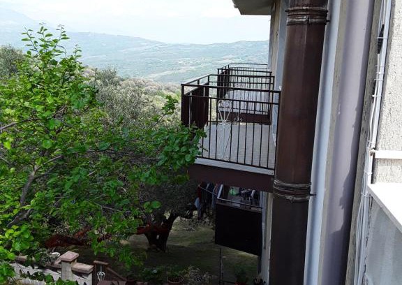 Centola Cama Y Desayuno | La Collina su Palinuro
