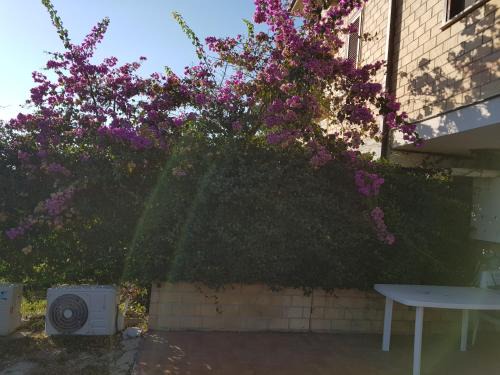 Bucchianico Apartamento | La Culla del Conte