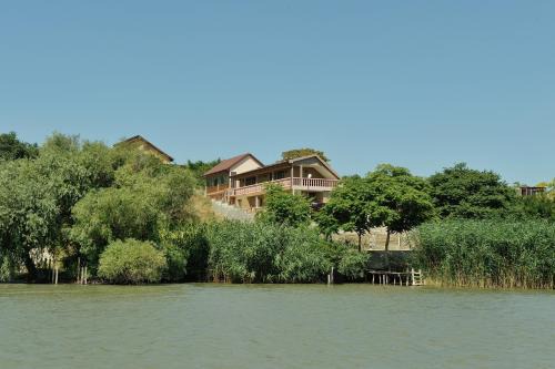 Sarichioi Casa | La Cupric