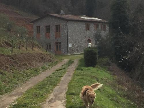 Borgo a Mozzano Apartamento | La Difesa