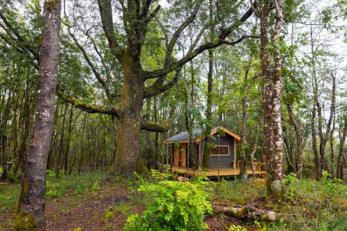 Molco Cabina | La Escondida Pucon